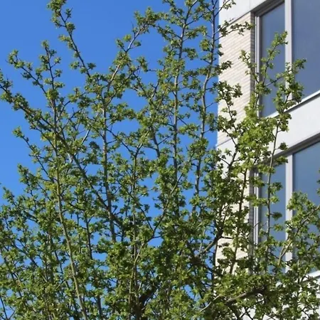 Quartier Hohe Geest 9 - Wolke 9 Appartement *